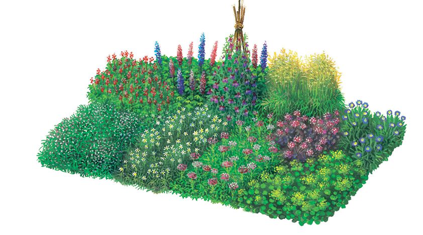 Pflanzplan für ein Schnittblumenbeet