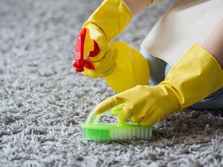 Eine Nahaufnahme zeigt Hände in leuchtend gelben Gummihandschuhen, die eine Sprühflasche und eine kleine grüne Bürste auf einem grauen, hochflorigen Teppich halten. Eine Person bürstet sanft eine Reinigungsflüssigkeit in die Fasern ein.