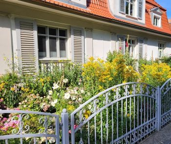 Gartenzaun