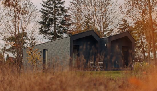 Ein modernes, dunkelgraues Tiny House mit Flachdach und Holzakzenten steht auf einer Wiese, umgeben von Bäumen und hohem Gras im Vordergrund. Die Szene wirkt ruhig und herbstlich. Zwei kleine weiße Stühle und ein Tisch stehen auf einer angedeuteten Terras