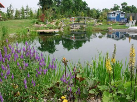 Naturnaher Schwimmteich