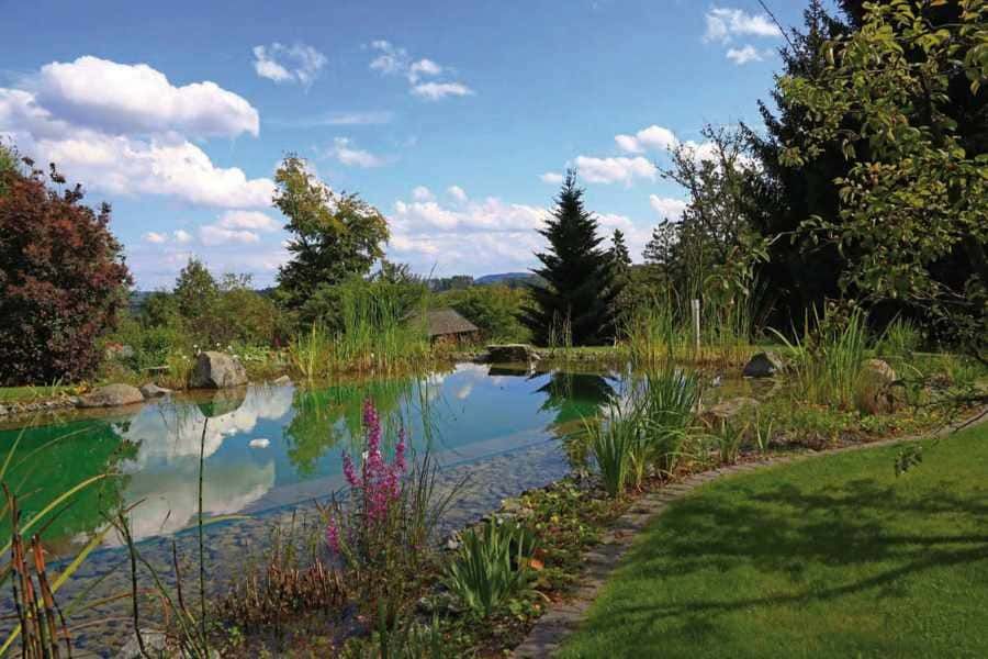Schwimmteich mit Aussicht
