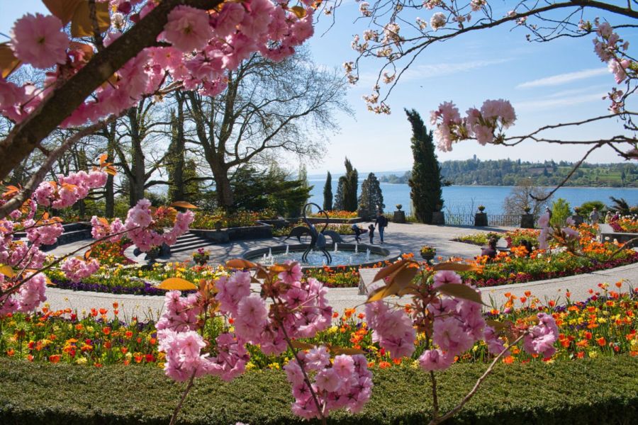 Beete auf der Blumeninsel Mainau, im Hintergrund der Bodensee