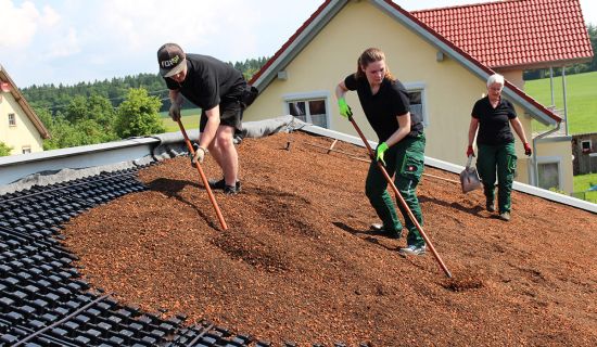 Aufbau einer extensiven Dachbegrünung auf einem Schrägdach: Ausbringen des Substrats