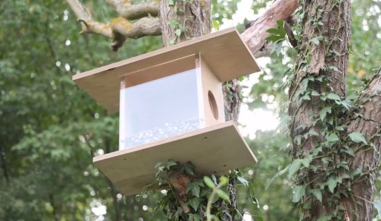 Ein Eichhörnchen Futterhaus aus Holz, das an einem Baum befestigt ist