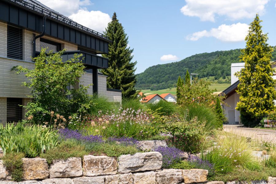 Vorgarten mit Natursteinmauer am Hang und lebendiger Bepflanzung
