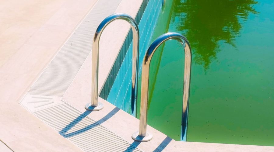 Grünes Poolwasser