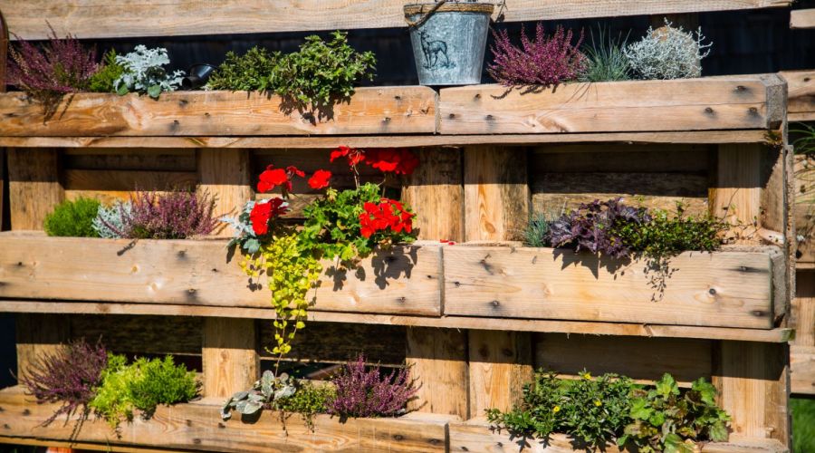 Vertical Gardening - Hochbeet aus Europalette