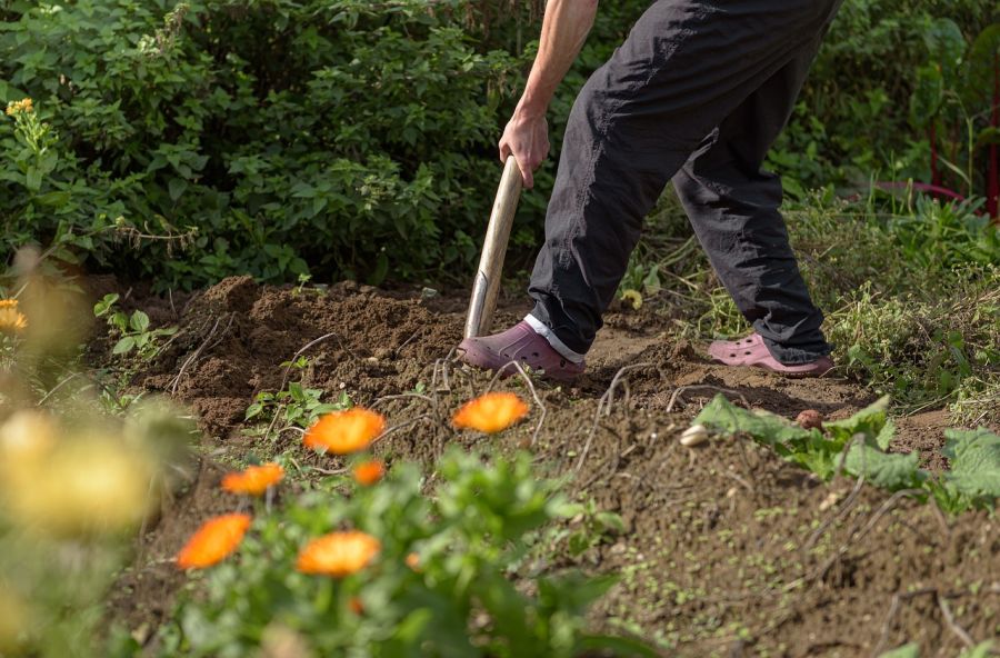 Mann gräbt humosen Gartenboden um