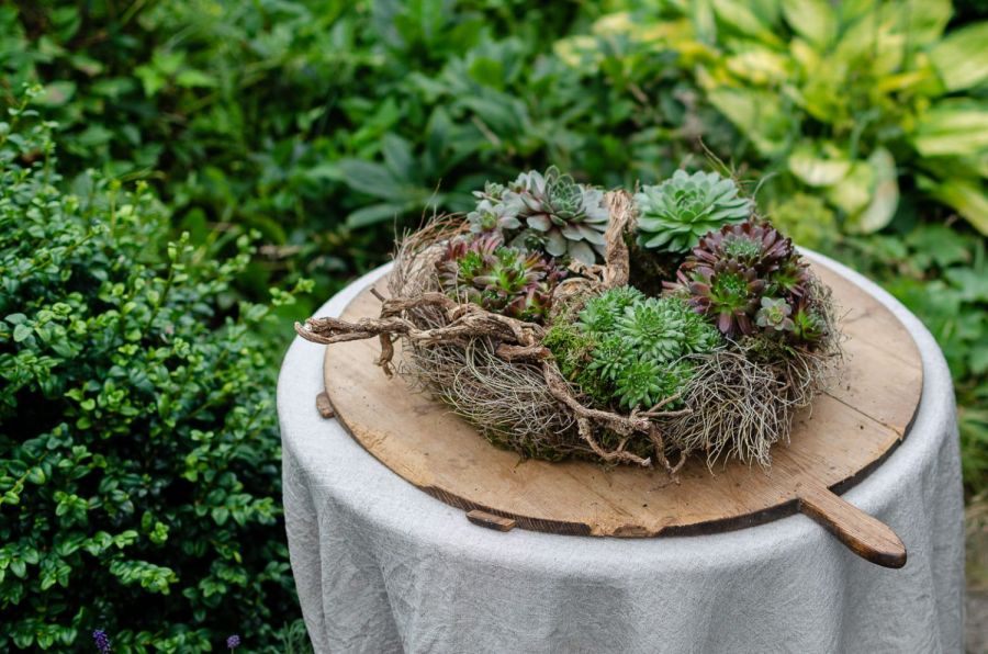 sukkulenten kranz selber machen mit Sempervivum