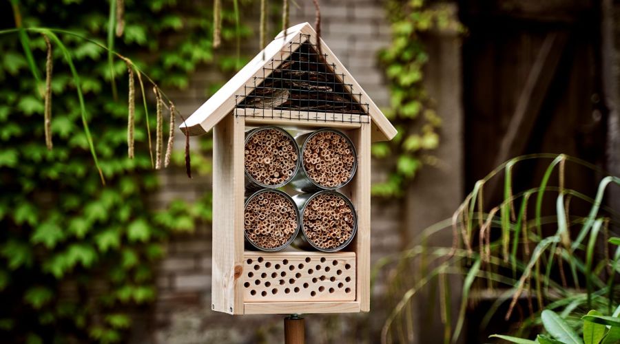Insektenhotel selber bauen einfache Anleitung