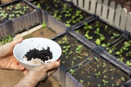 Kaffeesatz wird in den Garten gegeben