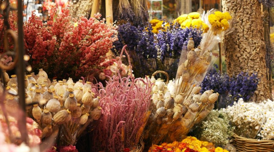 Bunte Trockenblumen