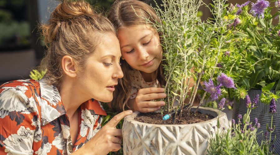 Eine Frau und ein junges Mädchen betrachten aufmerksam eine Topfpflanze mit Lavendel und anderen Kräutern. Die Frau zeigt mit dem Finger auf die Erde, in der ein blauer Tropfbewässerer steckt, während das Kind die Pflanze sanft berührt und interessiert zu