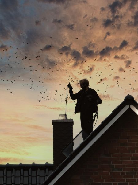 Schornsteinfeger auf dem Dach eines Hauses bei Sonnenuntergang, umgeben von fliegenden Vögeln.