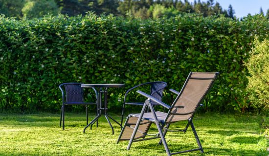 Gartenbereich mit Tisch und Stühlen, vor einer dichten grünen Kirschlorbeer-Hecke.