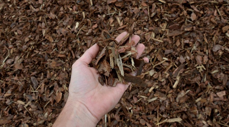 Im Vordergrund hält eine Hand eine kleine Menge Rindenmulch. Der gesamte Bildausschnitt dahinter ist von einer dicken Schicht Rindenmulch bedeckt. Das Bild hat eine natürliche und praktische Ausstrahlung.