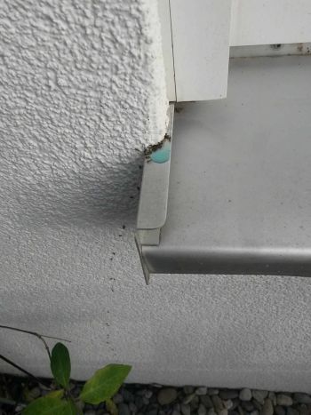 Ameisenstraße vor giftigem Ameisenköder