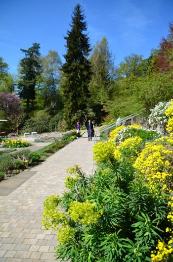 Die schönsten GartenAusstellungen Deutschlands Mein Eigenheim