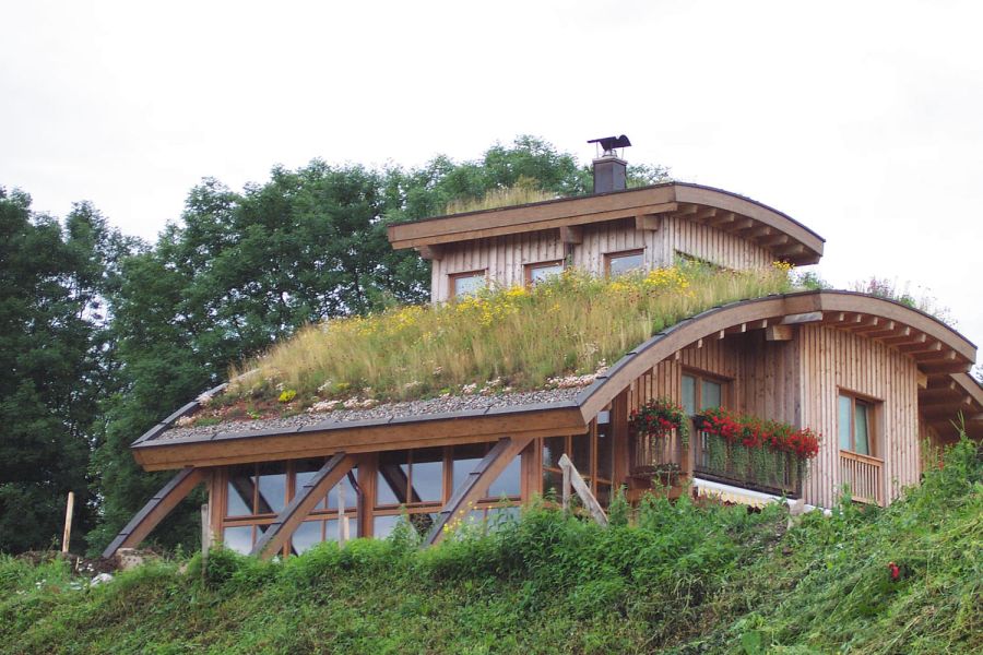 Dachbegrünung Aufbau eines Gründachs