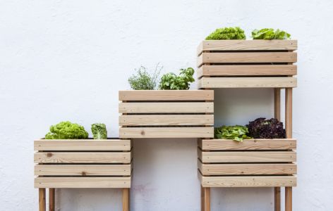 Hochbeet Balkon selber bauen