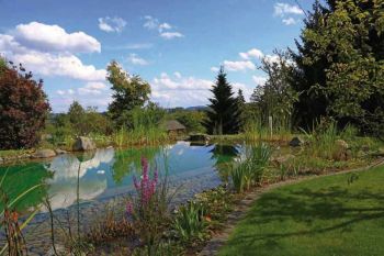 Schwimmteich mit Aussicht