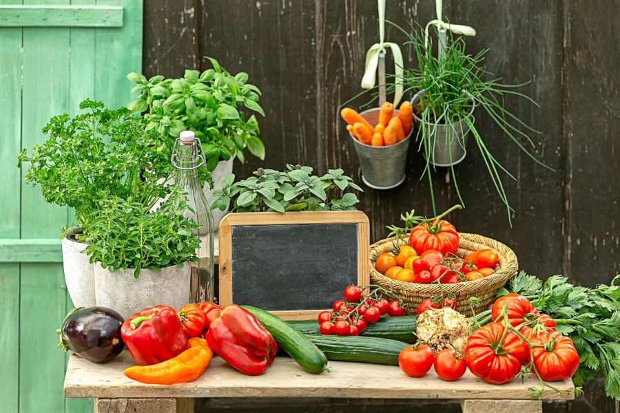Tomate Gurke Aubergine Paprika Basilikum Petersilie Schnittlauch Kraeuter