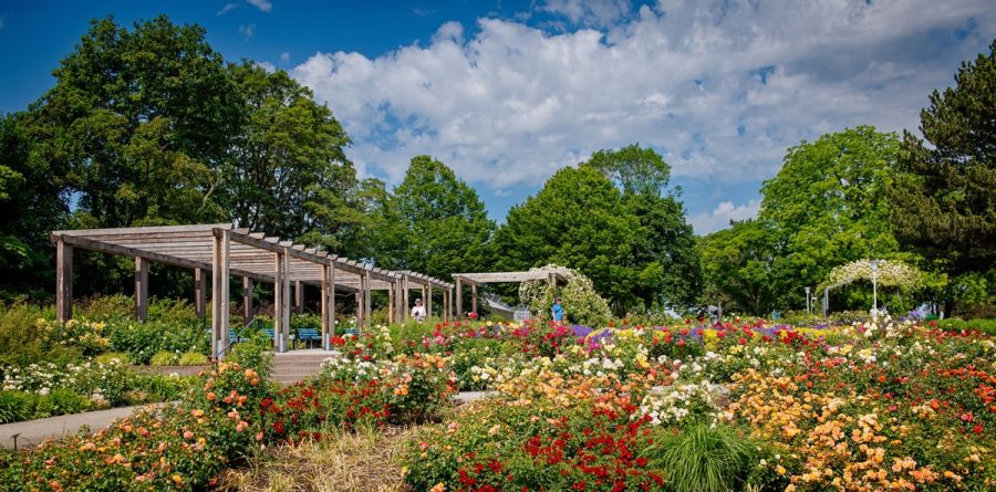 Blumenbeete mit Pavillons