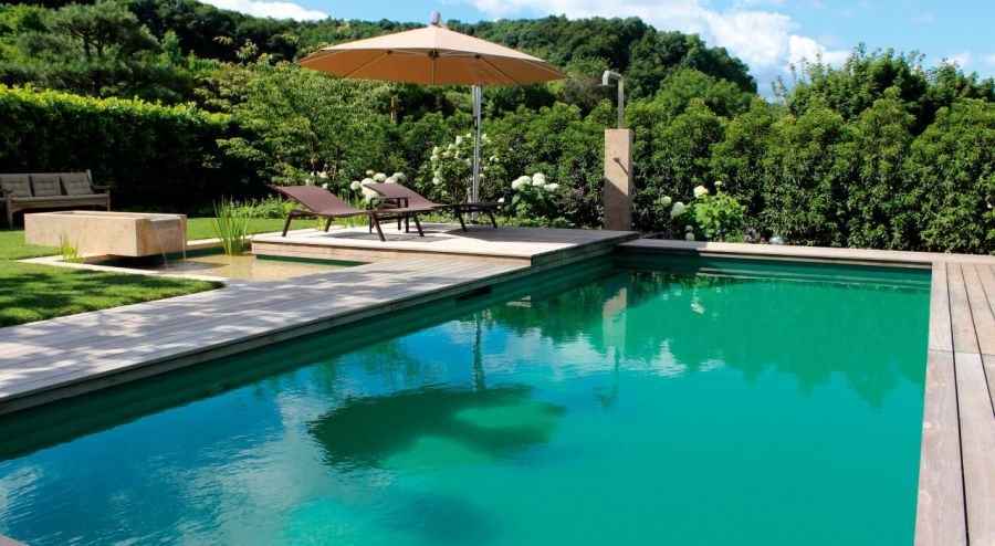 Naturpool im Garten