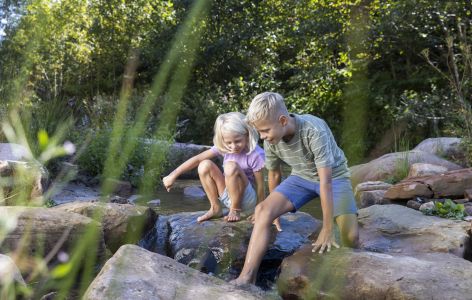 Kinder spielen am Bach