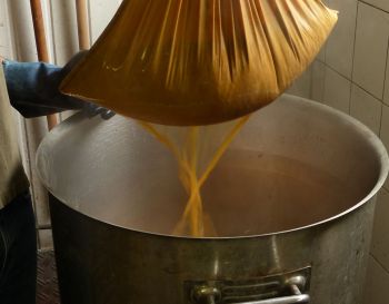 Gelb färben mit Goldrute