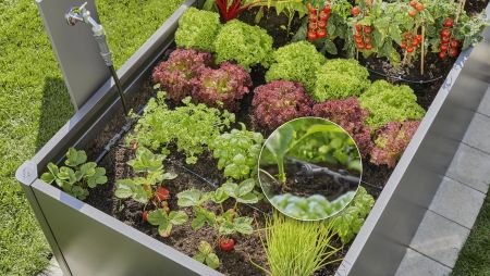 Ein Gemüse-Hochbeet mit verschiedenen Salaten, Kräutern und Erdbeeren. Ein Bewässerungssystem mit Schläuchen und Tropfern versorgt die Pflanzen punktgenau mit Wasser.
