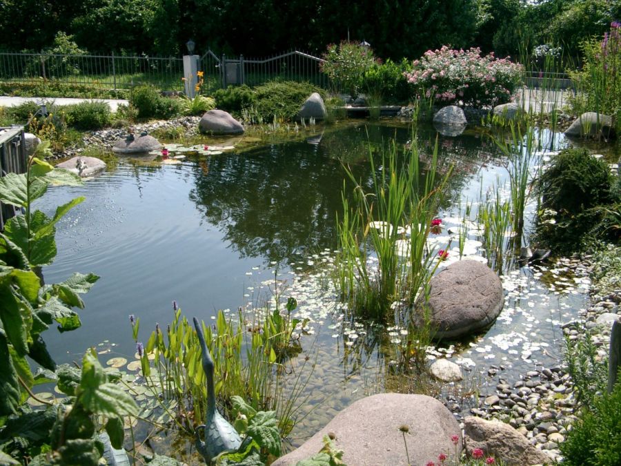 Naturnaher Gartenteich