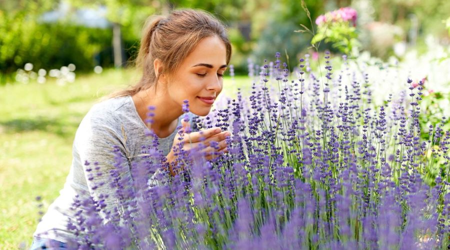 Frau riecht am Lavendel