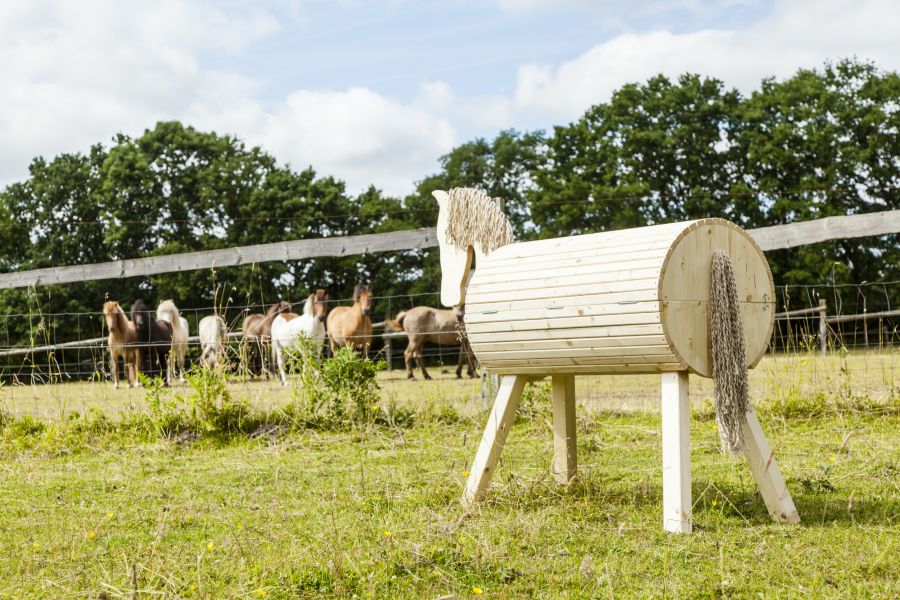 Pferd schaut auf eine Wiese zu anderen Pferden