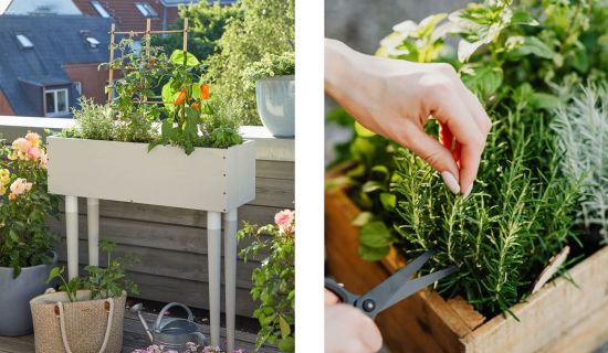 Hochbeet für den Balkon selber bauen Anleitung