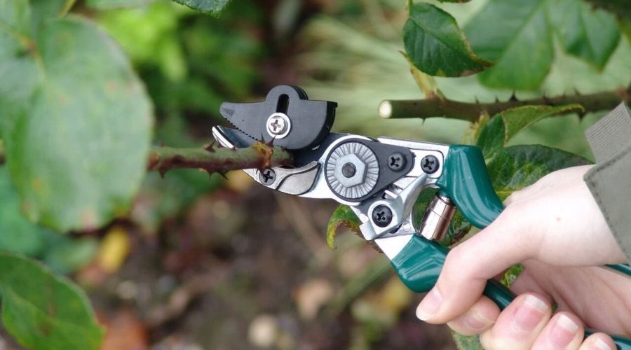 Greifvorrichtung Astschere Rosenschnitt
