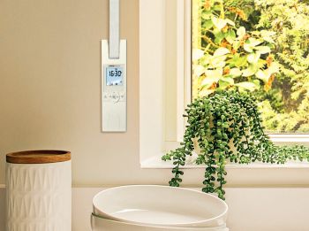 Elektrischer Gurtwickler