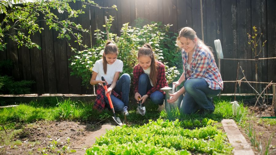 Drei Personen arbeiten gemeinsam in einem sonnigen Garten an einem ebenerdigen Beet. Sie knien auf dem Gras und kümmern sich mit Gartenwerkzeugen und einer Metallgießkanne um die frisch gepflanzten, niedrigen Grünpflanzen in der Erde.