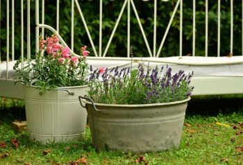 Deko mit Lavendel