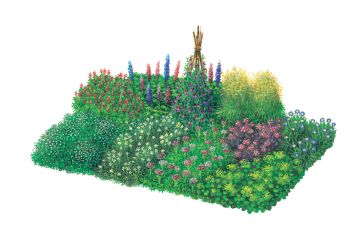 Pflanzplan für ein Schnittblumenbeet