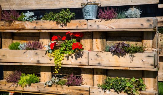 Vertical Gardening - Hochbeet aus Europalette