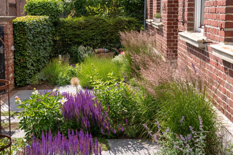 Salbei, Lavendel, Katzenminze und Ziergräser in einem Vorgartenbeet