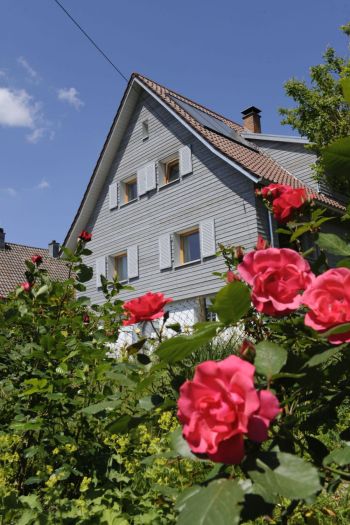 Gebrauchtes Haus kaufen