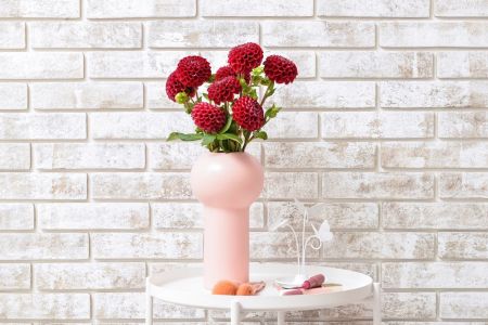 Dahlienpracht in der Vase