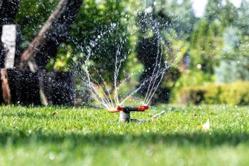 Ein Rasensprenger verteilt Wasserstrahlen fächerförmig über eine grüne Rasenfläche im Garten. Im Hintergrund stehen Bäume und Sträucher.