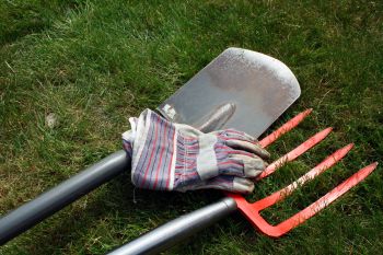 Grabegabel, Spaten und Handschuhe liegen auf dem Rasen
