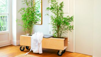 Eine Bank in die rechts und Links eine Pflanze gestellt werden kann.