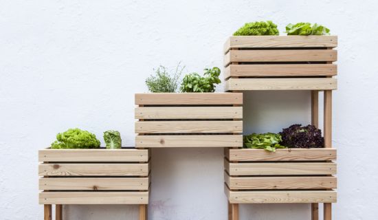 Hochbeet Balkon selber bauen