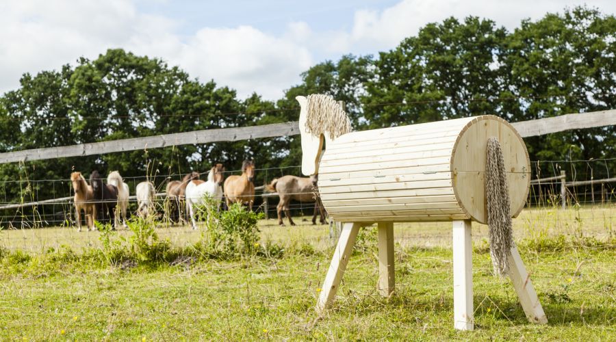 Pferd schaut auf eine Wiese zu anderen Pferden